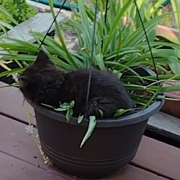 Meet your Posher, Jaime - Picture 12 of 15